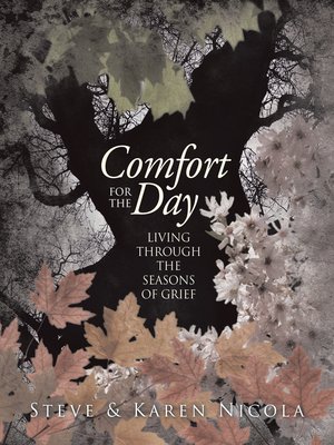 cover image of Comfort for the Day